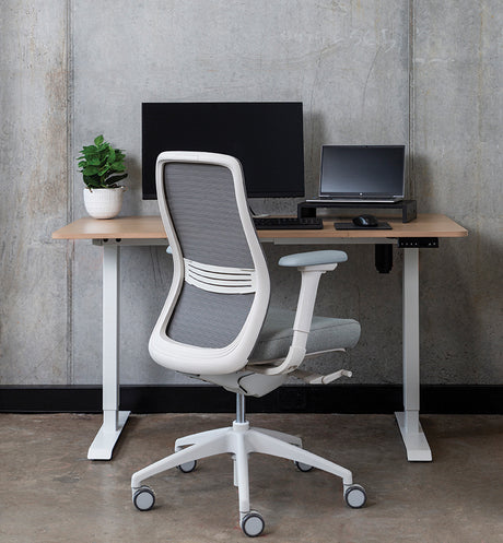 Luna Executive Mesh Back Chair