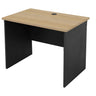 Sturdy Worker Desk