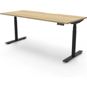 Halo + Single Height Adjustable Desk