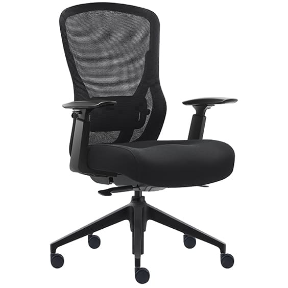 Mitz Executive Mesh Chair - Low Back