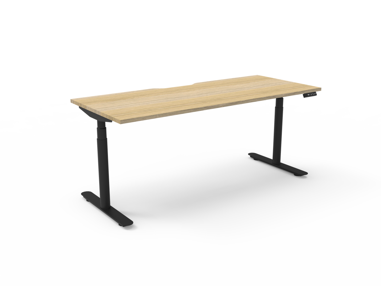 Halo + Single Height Adjustable Desk